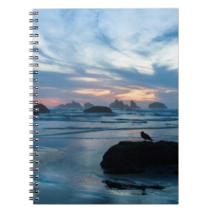 Caderno Espiral EUA, Oregon, Praia de Bandon. Gaivota na rocha