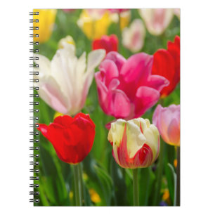 Caderno Espiral EUA, Tennessee, Nashville