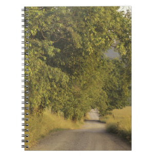 Caderno Espiral EUA, Tennessee, Parque Nacional Great Smoky Mounta