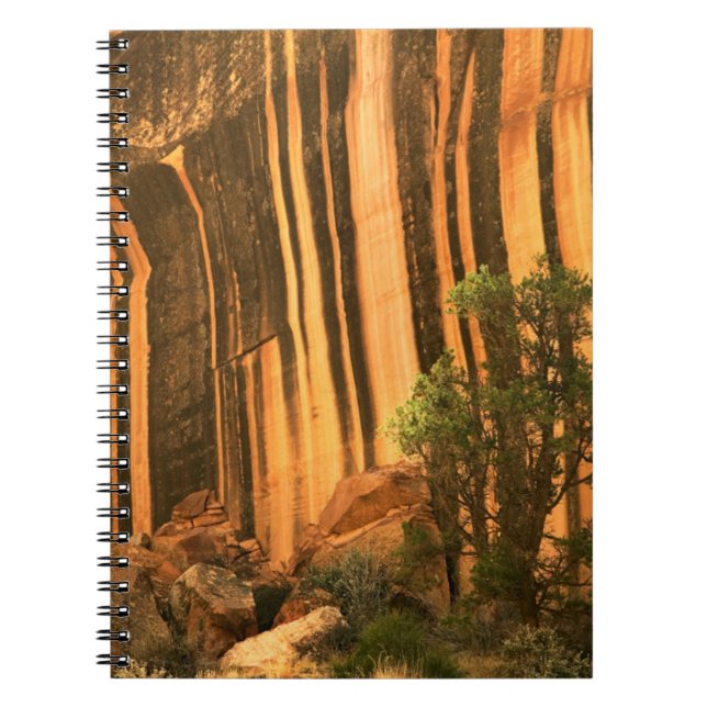Caderno Espiral EUA, Utah, Parque Nacional Capitol Reef (Frente)