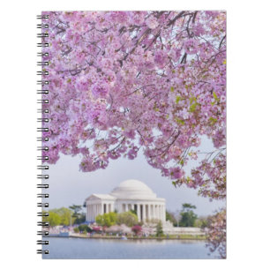 Caderno Espiral EUA, Washington DC, árvore de cereja na flor