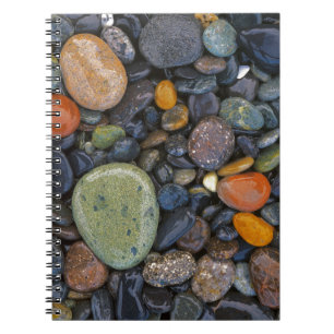 Caderno Espiral EUA, Washington, Lopez Island, Praia Agate
