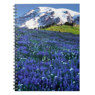 Caderno Espiral EUA, Washington, Parque Nacional Mt. Rainier. Mont