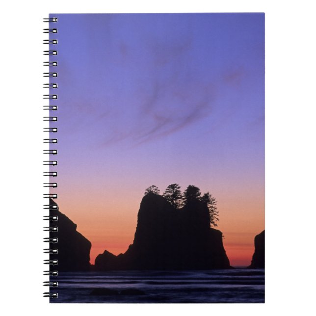 Caderno Espiral EUA, Washington, Parque Nacional Olimpiadas, Shi-s (Frente)