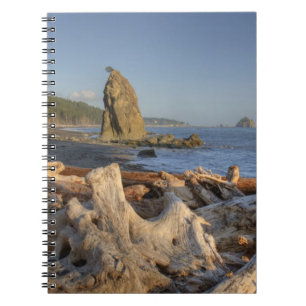 Caderno Espiral EUA, Washington, Parque Nacional Olímpico, Rialto