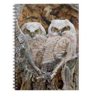 Caderno Espiral EUA, Wyoming, Grand Teton National Park