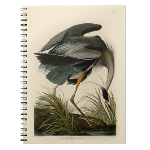 Caderno Espiral Excelente Azul Heron Marsh Bird