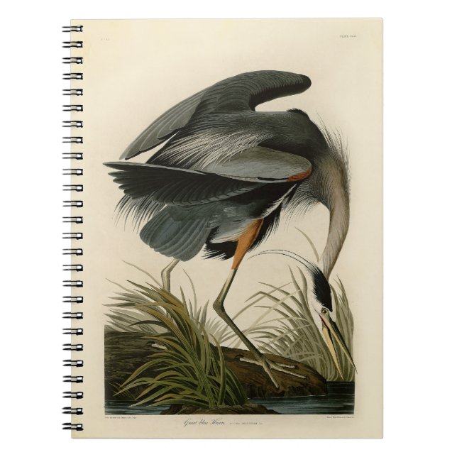 Caderno Espiral Excelente Azul Heron Marsh Bird (Frente)