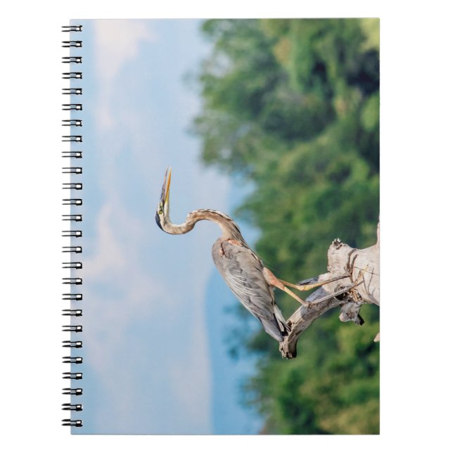 Caderno Espiral Excelente Blue Heron (Frente)
