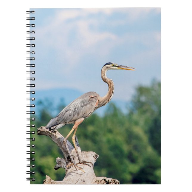 Caderno Espiral Excelente Blue Heron (Frente)