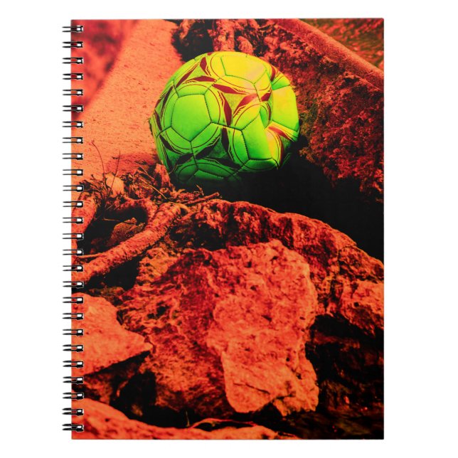 Caderno Espiral explorador de mosquitos (Frente)