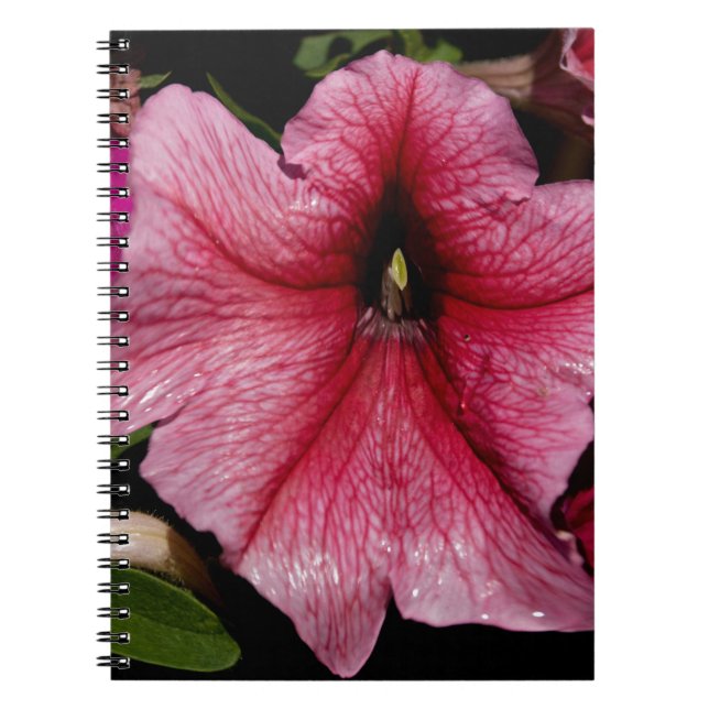 Caderno Espiral Explosão Floral (Frente)