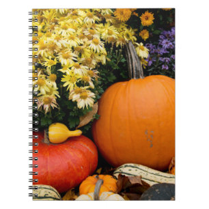 Caderno Espiral Exposição colorida de abóbora decorativa de outono