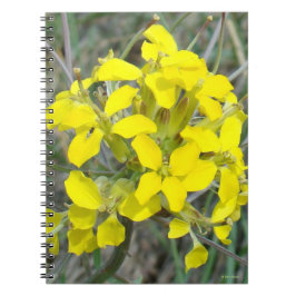 Caderno Espiral F14 Flores Silvestres Amarelas
