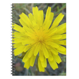 Caderno Espiral F16 Flor Amarela Rei do Diabo