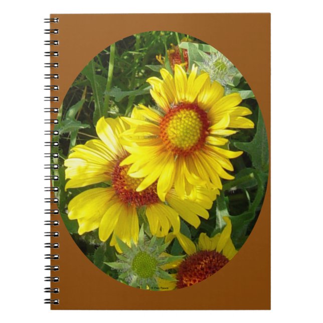 Caderno Espiral F27 Flores Amarelas Gaillardia (Frente)