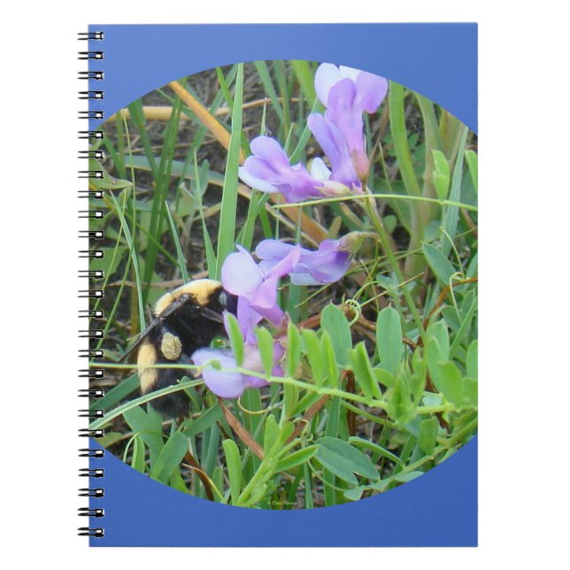 Caderno Espiral F32a Abelha em Flores Silvestres Roxas (Frente)