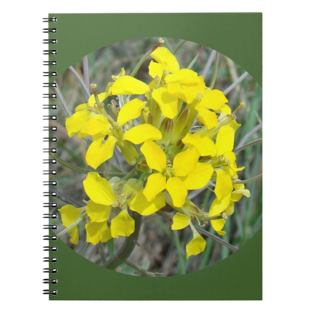 Caderno Espiral F33w Flores Amarelas (Frente)