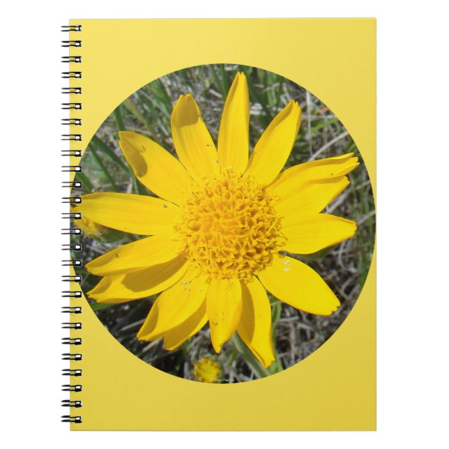 Caderno Espiral F36wma Flores Amarelas espirradas (Frente)