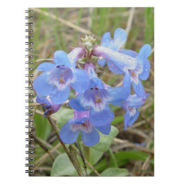 Caderno Espiral F3 Flores Silvestres Azuis Penstemon Azul Delgado