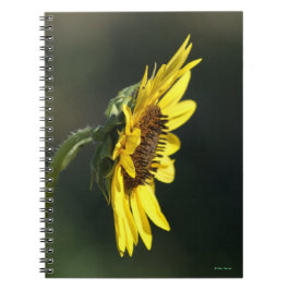 Caderno Espiral F43 Susan Amarelo de flor selvagem de olhos pretos