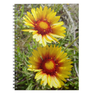 Caderno Espiral F8 Amarelas Flores Silvestres Gaillardia