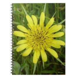 Caderno Espiral F9 Flor Amarela Barba-de-Bode Tragopogon dubius