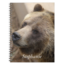Caderno Espiral Face de Urso Bonito