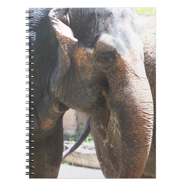 Caderno Espiral Face elefante (Frente)