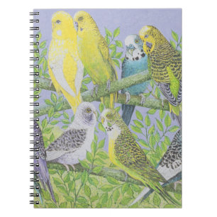 Caderno Espiral Fala doce