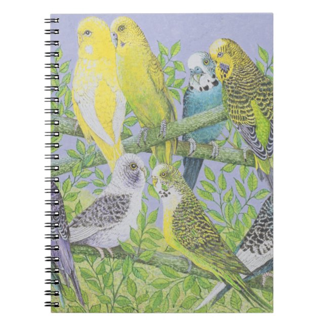 Caderno Espiral Fala doce (Frente)