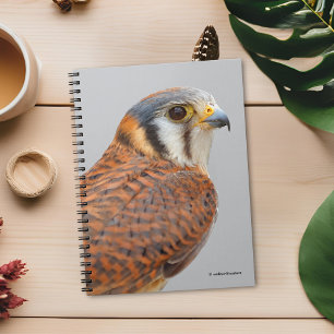 Caderno Espiral Falcão Americano Kestrel Sparrowhawwawk espantoso