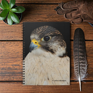 Caderno Espiral Falcão Híbrico Do Coletor Gyfalcon