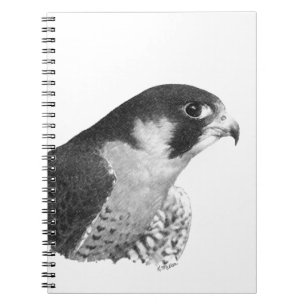 Caderno Espiral Falcão-lápis peregrino