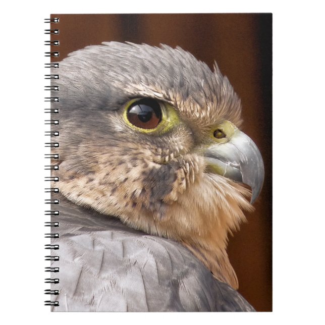 CADERNO ESPIRAL FALCÃO MERLIN AVE DE RAPINA (Frente)