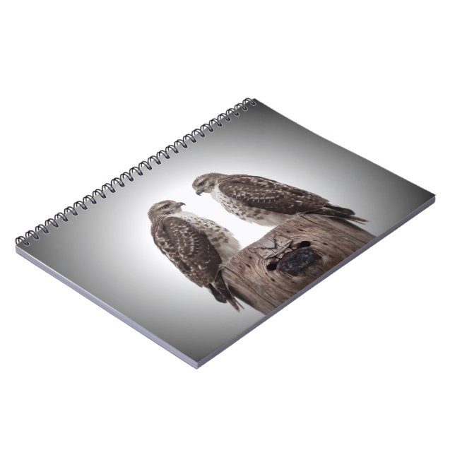 Caderno Espiral Falcões em um cargo (Left Side)