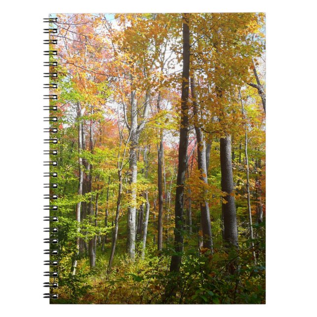 Caderno Espiral Fall Forest I Autumn Landscape Photoshop (Frente)