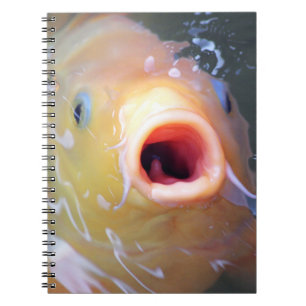 Caderno Espiral Falln Singing Ghost Koi