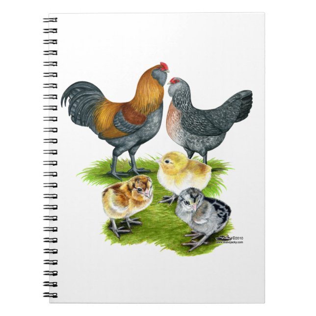 Caderno Espiral Família Ameraucana de frango (Frente)