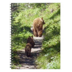 Caderno Espiral Família Brown Bear