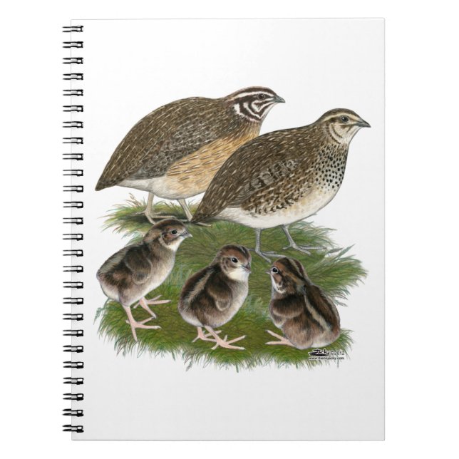 Caderno Espiral Família de Codorniz Coturnix (Frente)