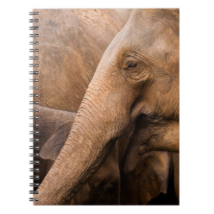 Caderno Espiral Família Elefante: Vida Selvagem Majestosa