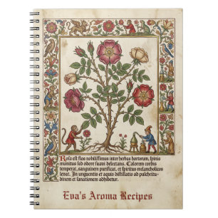 Caderno Espiral Farmácia Iluminada Rosa Medieval