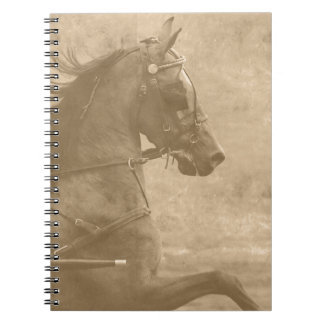 Caderno Espiral Faux Vintage Hackney
