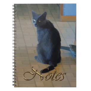 Caderno Espiral Fazenda de Cinzas giras sentada em rancheira