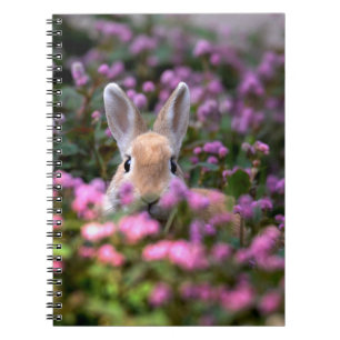 Caderno Espiral Fazenda de coelho