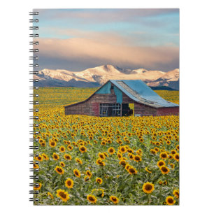 Caderno Espiral Fazendas   Campo de girassol