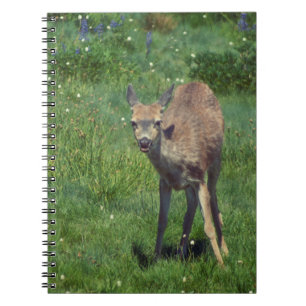 Caderno Espiral Fazer