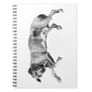Caderno Espiral Fazer Listas por um Cão Adormecido