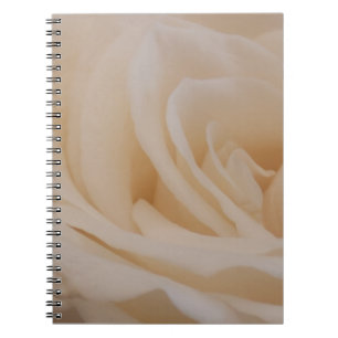 Caderno Espiral Fechamento de Rosa de Creme Colorido